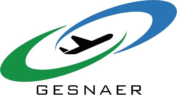 Gesnaer Consulting
